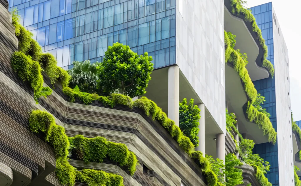 Environmental and market responsibility